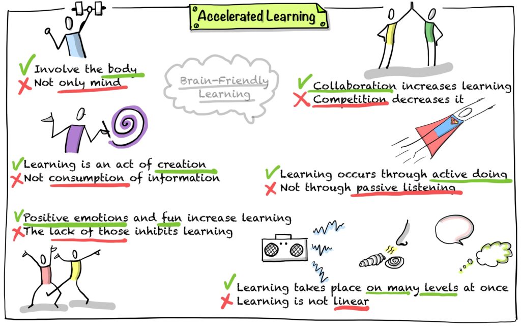 Accelerated Learning and Brain-Friendly training principles drawing by Julia Västrik