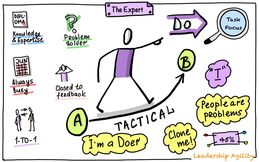 Leadership Agility Level 1: The Expert drawing by Julia Västrik
