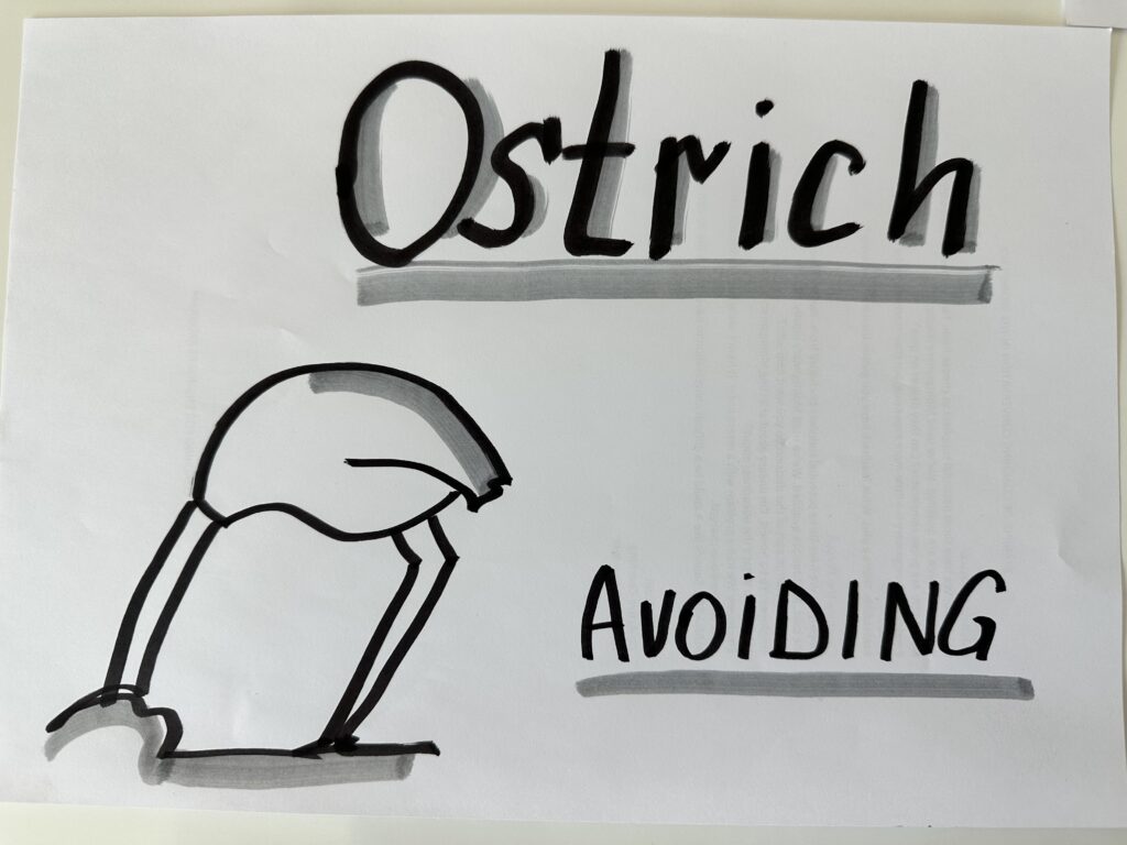 Thomas-Kilmann Conflict Management Styles Ostrich metaphor  for Avoiding style drawing by Julia Västrik