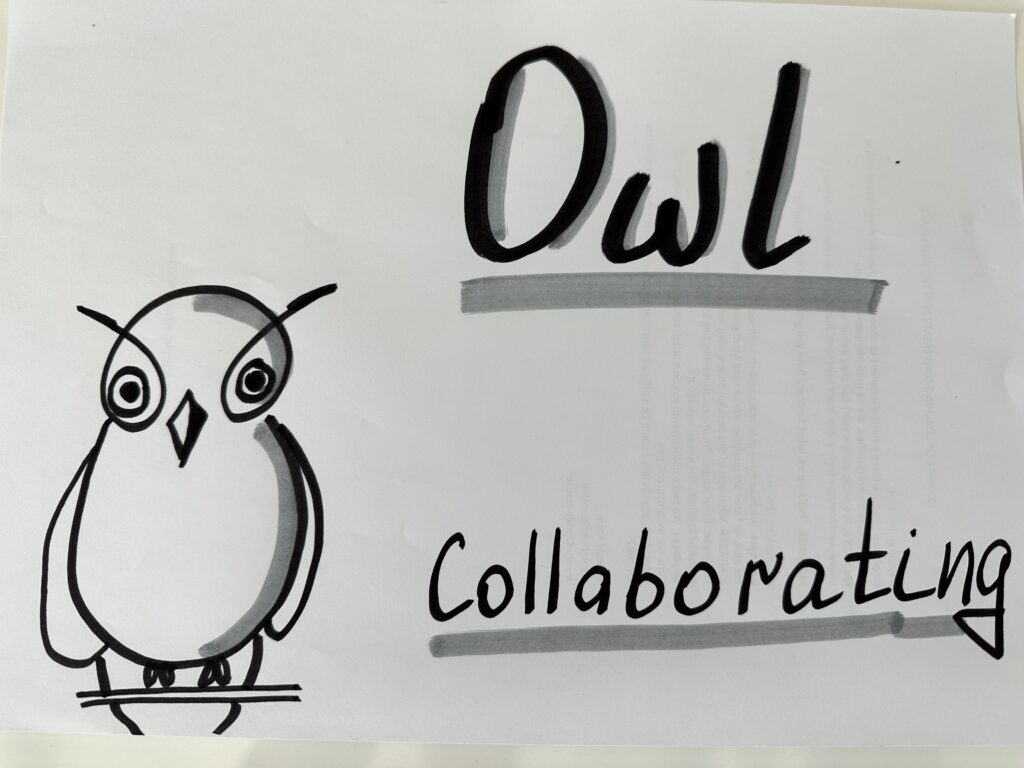 Thomas-Kilmann Conflict Management Styles Owl metaphor  for Collaborating style drawing by Julia Västrik