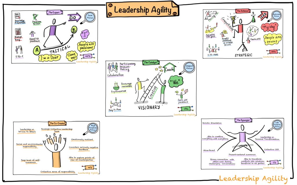 All Levels of Leadership Agility drawing by Julia Västrik