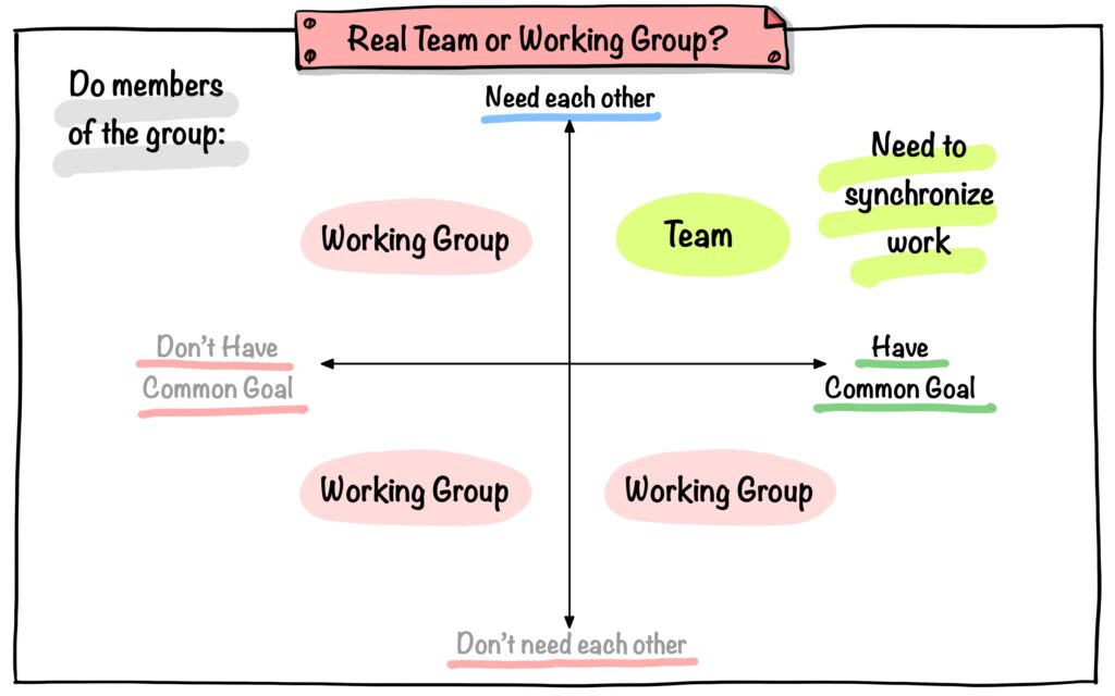 Real Team or Working group?