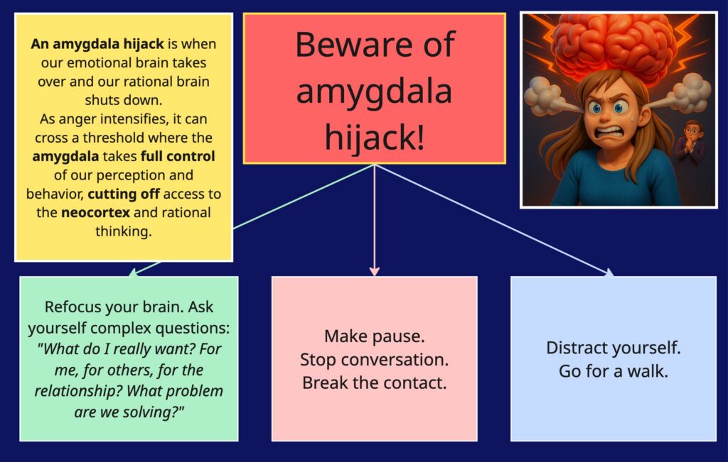 Amygdala Hijack during Conflict by Julia Vastrik